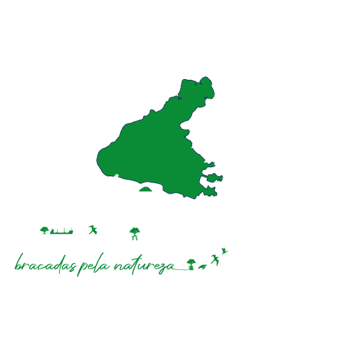 logo-desafio-volta-ilha-transparente